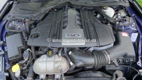 FORD MUSTANG VI GT 5.0 CABRIOLET (PHASE 2) – Image 21